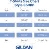 Gildan Unisex Adult Heavy Cotton T-Shirt, Style G5000, Multi...