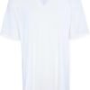 Hanes Men's Tall Man V-Neck T-Shirt (Pack of 3 or 5)
