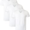Hanes Men's Comfortsoft V-Neck Tagless Tshirt 3 Pack