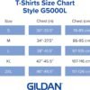 Gildan Women's Heavy Cotton T-Shirt, Style G5000L, 2-Pack