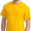 Gildan Large Men's DryBlend Classic T-Shirt