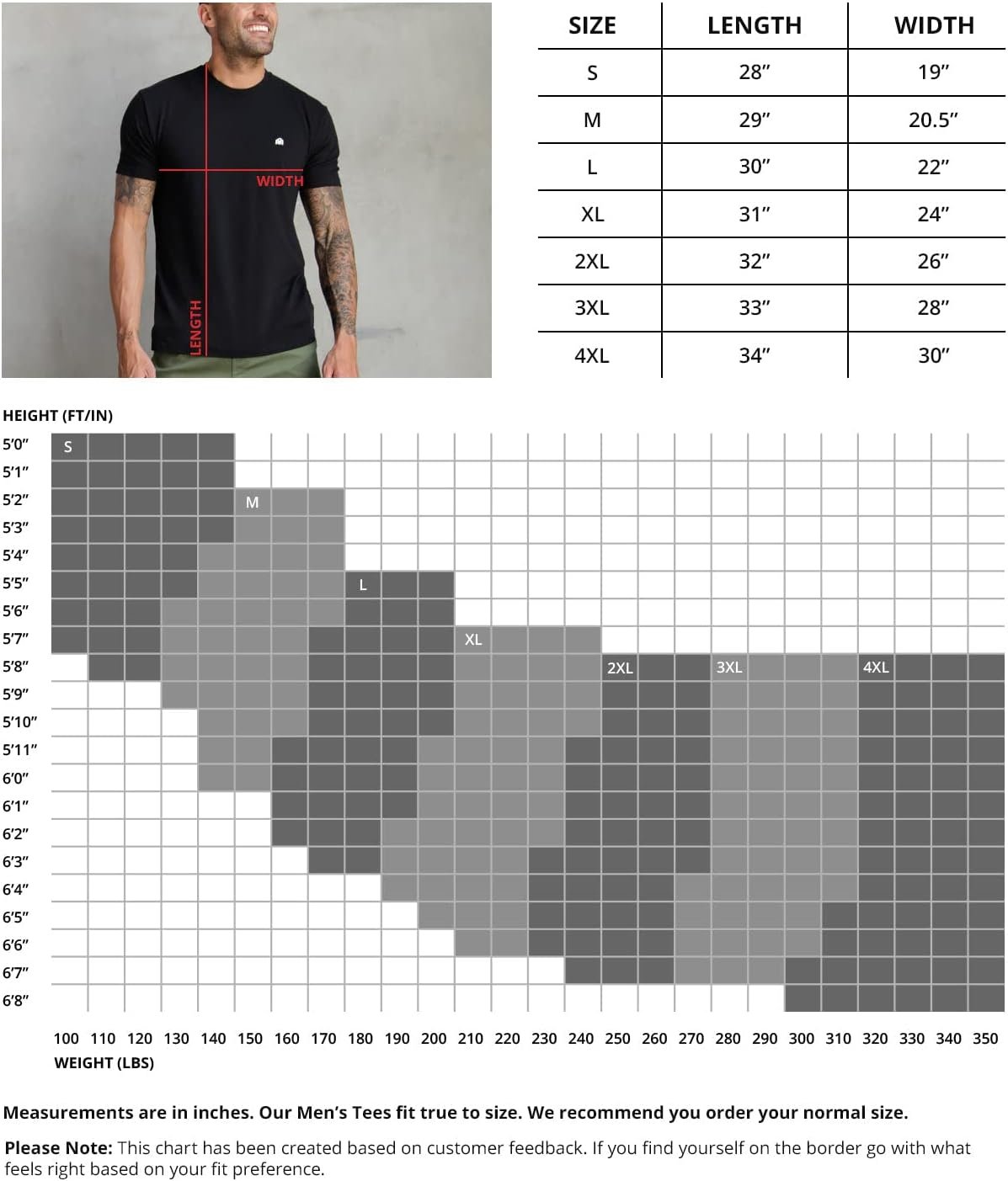 INTO THE AM Mens T Shirt Packs - Short Sleeve Crew Neck Soft... - Image 6