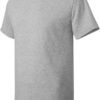 Hanes Men's 5250t