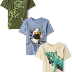The Children's Place Boys' Assorted Everday Short Sleeve Gra...