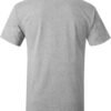 Hanes Men's 5250t