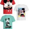 Disney Mickey Mouse T-Shirt (Sets) Donald Duck Goofy Pluto G...