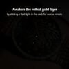 Mens Automatic Watch, Luxury Watches for Men, Stainless Stee...