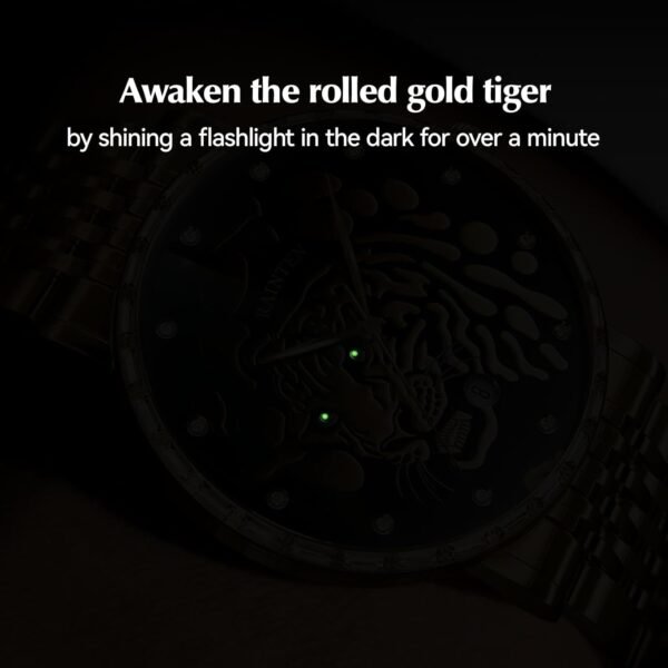 Mens Automatic Watch, Luxury Watches for Men, Stainless Stee...