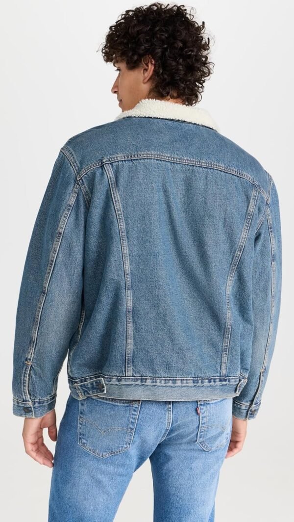 Levi's Men's Fable Sherpa Trucker Jacket