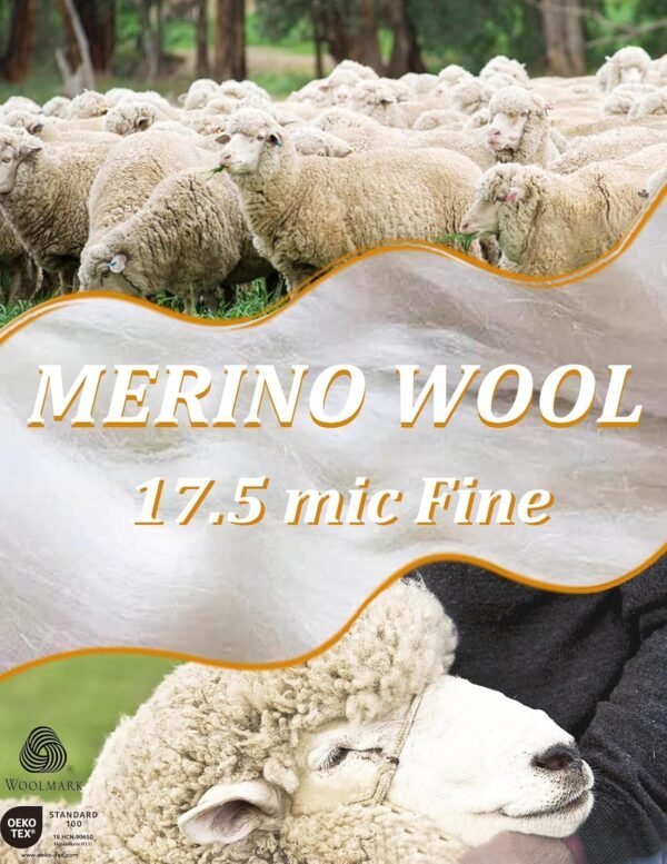 Merino Protect 100% Merino Wool T Shirts for Men Odor Resist...
