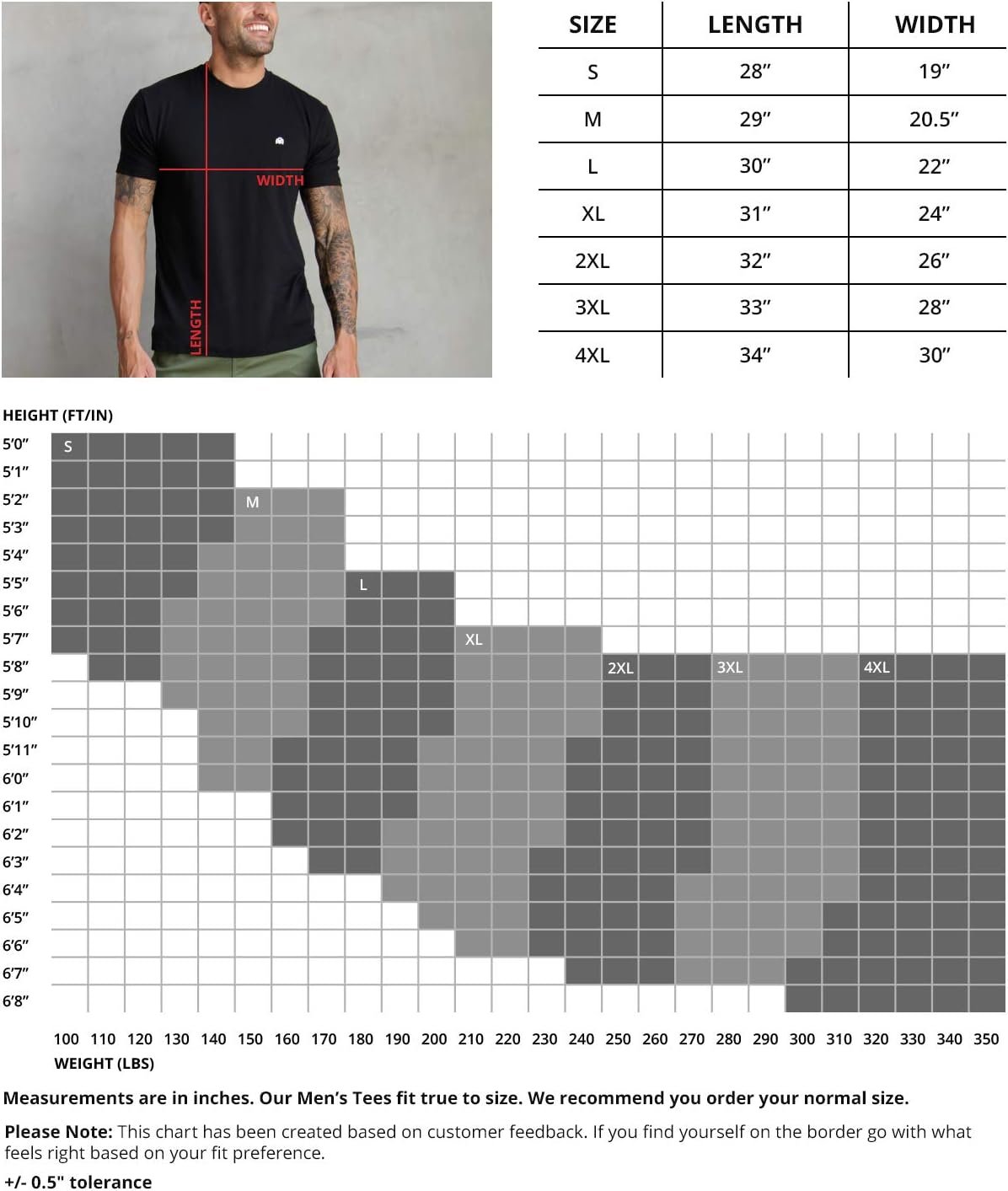 INTO THE AM Mens T Shirt with Logo - Short Sleeve Crew Neck ... - Image 6